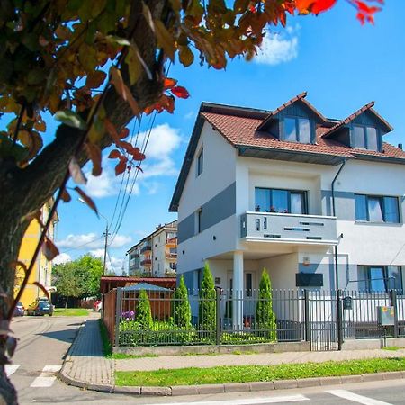 Vila Roza Сигету-Мармацией Экстерьер фото